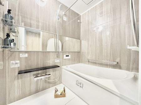 ���� �����������F�����̕ǖʁA������������芰����o�X���[��