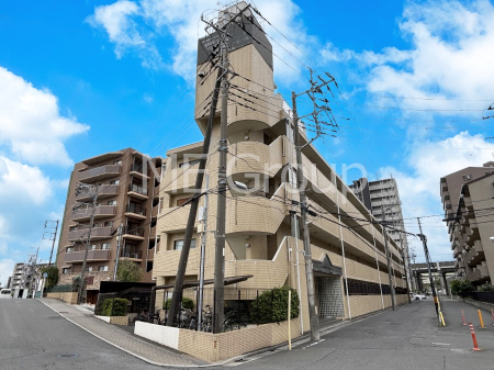 ���n�O�ώʐ^ ����z���ł��Ƒ��̏Ί���P��