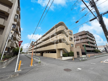 ���n�O�ώʐ^ ��������n�܂�V�����������������܂�