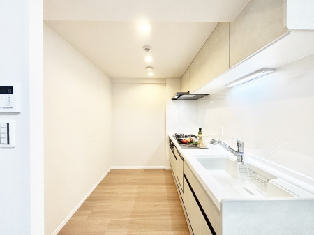 �L�b�`�� �������������I�ɁA�y�����I�V�X�e���L�b�`��  