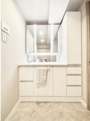 ���ʑ�E���ʏ� �X�^�C�����O�ɕ֗��ȎO�ʋ��A�~���[�L���r�l�b�g�ōׂ������X�b�L��