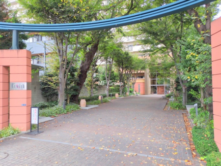 �G���g�����X -