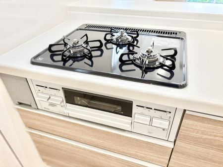 ���̑����� �K�X�R�����͂r���Z���T�[���ځB�Η͒��߂�ł��t���E�����Y����h���ł���܂��B