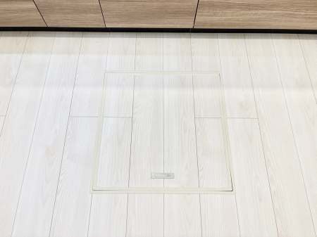 ���̑����� �������[�t���I���p�i�E���p�i�̎��[�ɂ��劈��B