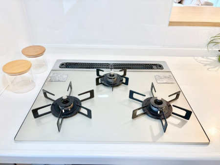 ���̑����� �O���K�X�R�����ł���������C�ɂ͂��ǂ肻��   