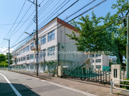 ���ӊ� ���w�Z 230m �����q�s����񏬊w�Z