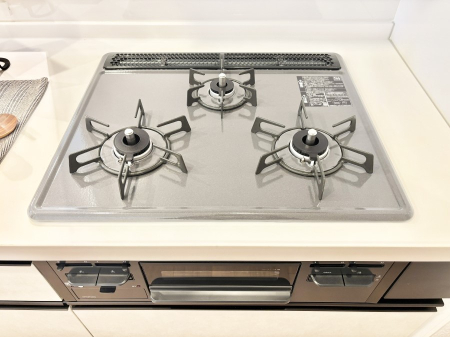 ���̑����� �O���K�X�R�����ł���������C�ɂ͂��ǂ肻��  