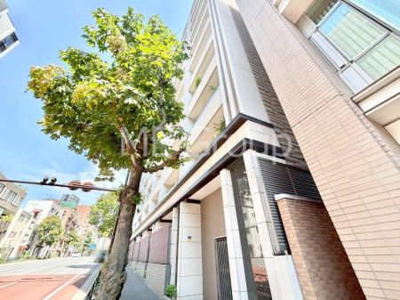 ���n�O�ώʐ^ �O��