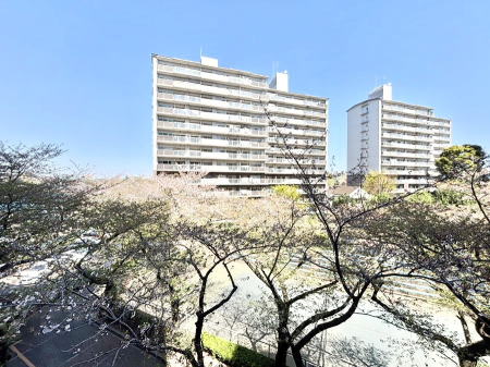 ���̑� �o���R�j�[����͊J���I�Ȓ��]���y���߂܂��I