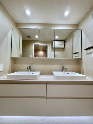 ���ʑ�E���ʏ� ���[�͂Ƌ@�\���ɗD�ꂽ���ʉ��ϑ�