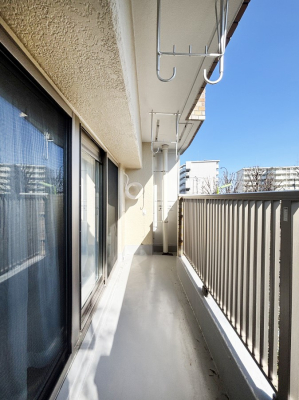 �o���R�j�[ ���ʂ��̗ǂ��o���R�j�[