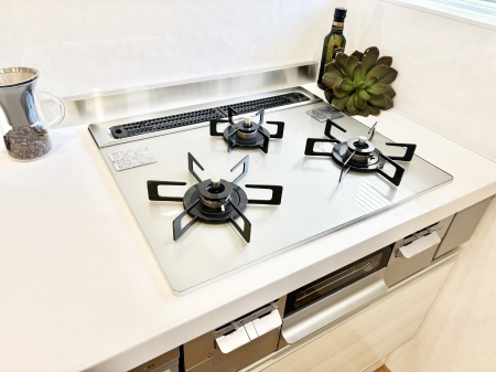 ���̑����� �O���K�X�R�����ł���������C�ɂ͂��ǂ肻��  