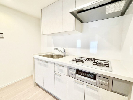 �L�b�`�� �������������I�ɁA�y�����I�V�X�e���L�b�`��