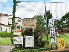 ���ӊ� ���� 300m ������������