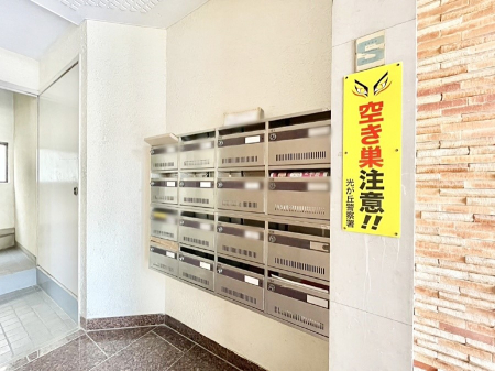 ���̑� �W���|�X�g