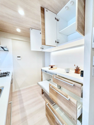 ���̑����� �J�b�v�{�[�h���W�������@�L�X�X�y�[�X�ł��������₷���L�b�`���ł�  