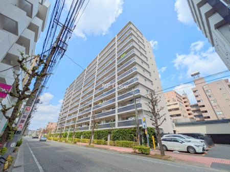 ���n�O�ώʐ^ -