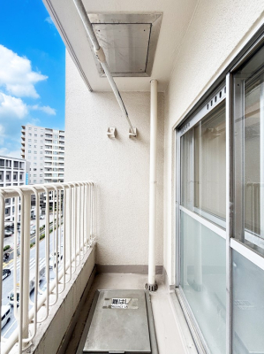 �o���R�j�[ ���ʂ��̗ǂ��o���R�j�[