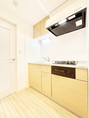 ���ӊ� �h���b�O�X�g�A 300m �R�R�J���t�@�C���ڔ����c�X