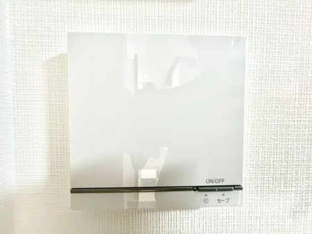 ���̑����� ���g�[�t���œ~���|�J�|�J�B���Ƒ��̌e���̃X�y�[�X�ɂȂ�܂��ˁB