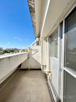 �o���R�j�[ �z�˂������Ղ�~�蒍���o���R�j�[