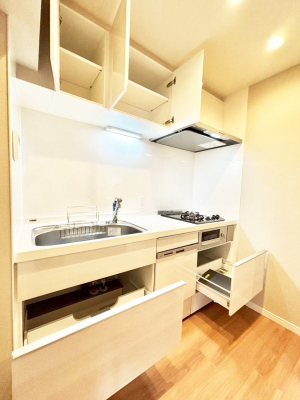 ���̑����� �g���₷����D�悵���X���C�h�����[�^�C�v�I