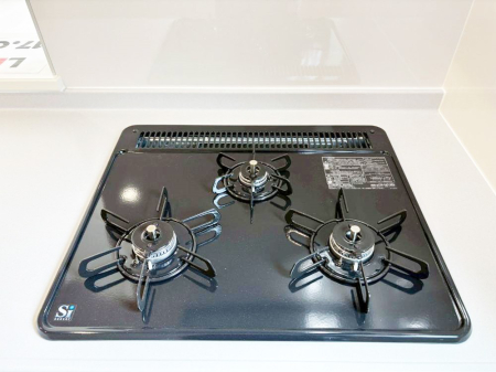 ���̑����� �K�X�R�����͂r���Z���T�[���ځB�Η͒��߂�ł��t���E�����Y����h���ł���܂��B