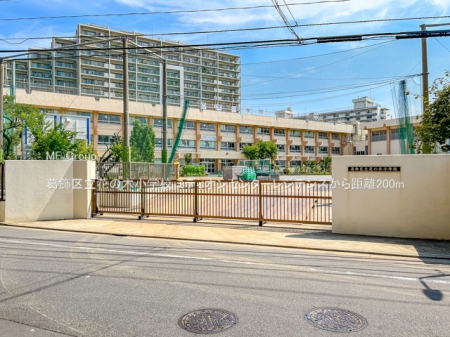 ���ӊ� ���w�Z 200m �����旧�Ԃ̖؏��w�Z