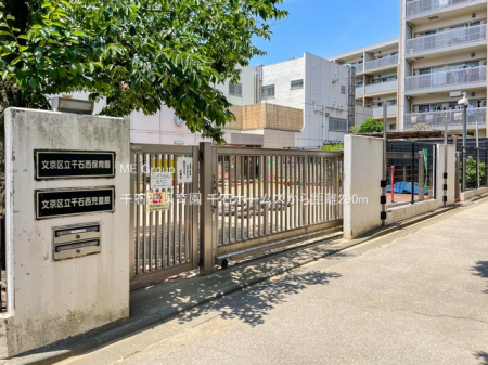 ���ӊ� �c�t���E�ۈ牀 290m ��ΐ��ۈ牀