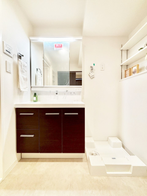 ���ʑ�E���ʏ� �X�^�C�����O�ɕ֗��ȎO�ʋ��A�~���[�L���r�l�b�g�ōׂ������X�b�L��