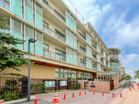 ���ӊ� ���w�Z 350m �����旧�L�C���w�Z