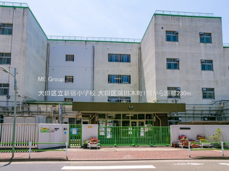 ���ӊ� ���w�Z 230m ��c�旧�V�h���w�Z