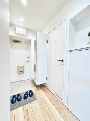 ���� �~���[�t���V���[�Y�{�b�N�X�͂��o�����O�̐g�����Ȃ݃`�F�b�N�ɕ֗�