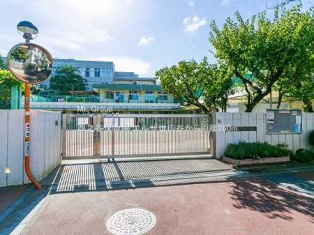 ���ӊ� �c�t���E�ۈ牀 260m ���V�J�ۈ牀