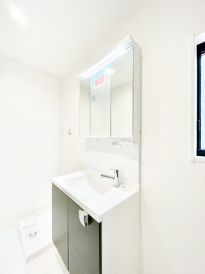 ���̑� �_�炩�Ȓ��̌����������鑋�����������h���[�X�y�[�X