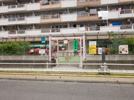 ���ӊ� �c�t���E�ۈ牀 800m �L���k�ۈ牀