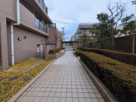 �G���g�����X -