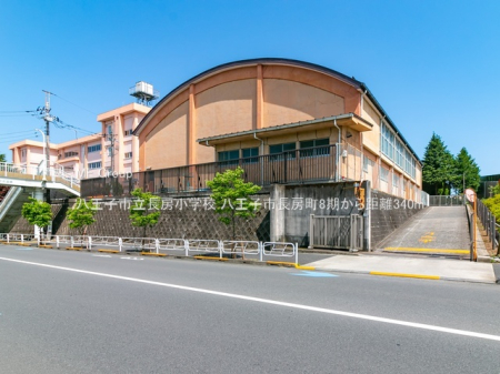 ���ӊ� ���w�Z 340m �����q�s�����[���w�Z