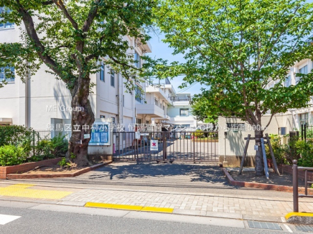 ���ӊ� ���w�Z 590m ���n�旧�������w�Z