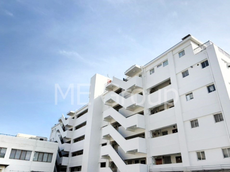 ���n�O�ώʐ^ �����ɕ֗��Ȓn�ɐL�т₩�ȉƑ��̐������i��`���Z�܂�