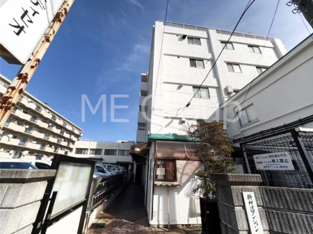 ���n�O�ώʐ^ ��������n�܂�V�����������������܂��I