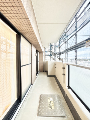 �o���R�j�[ ���ʂ��̗ǂ��o���R�j�[��2����