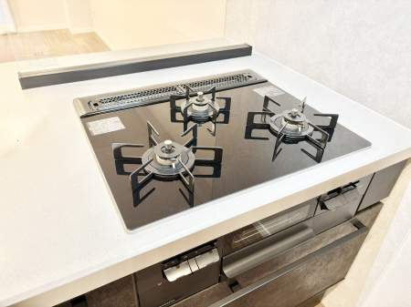 ���̑����� �O���K�X�R�����ł���������C�ɂ͂��ǂ肻��  