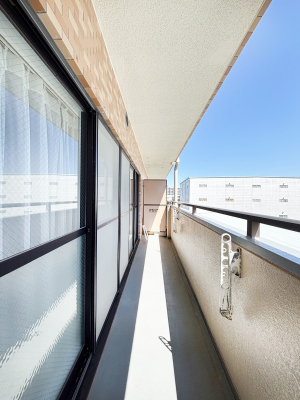 �o���R�j�[ ���ʂ��̗ǂ��o���R�j�[