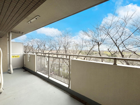 �o���R�j�[ �S�n�悢���������Ȃ��炨���󕨂����������ł�