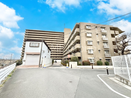 ���n�O�ώʐ^ ����z���ł��Ƒ��̏Ί���P�� 