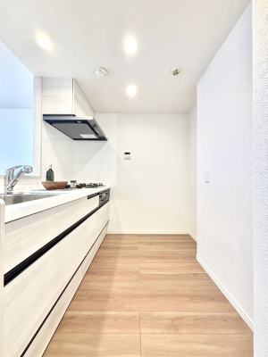 �L�b�`�� ��Ƃ肠��L�b�`���X�y�[�X�ł�������H��̌�Еt�����X���[�Y�ɁI