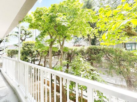 ���̑� �S�n�悢����������ꂻ���Ȓ��]�ł�