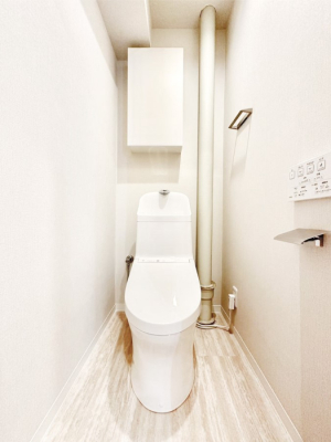 �g�C�� �g�C���͐������̂��锒����Ƃ��������������ԂɁI