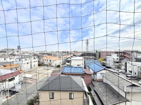 ���̑� �o���R�j�[����̒��]�ł�